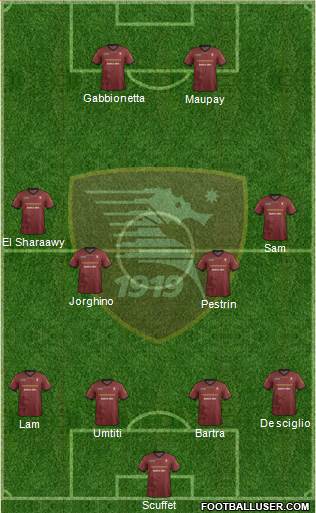 Salernitana Formation 2014