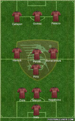 Salernitana Formation 2014