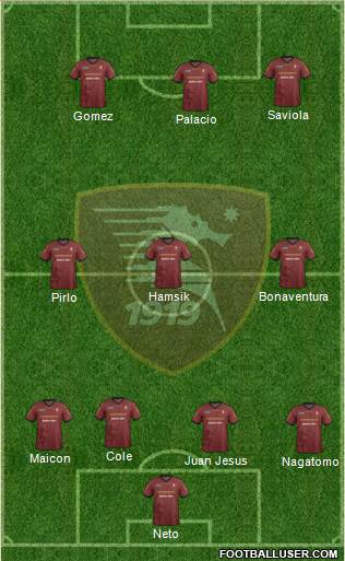 Salernitana Formation 2014