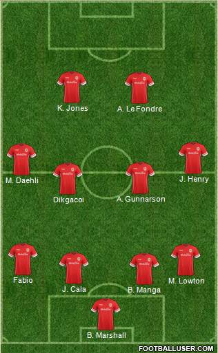 Cardiff City Formation 2014