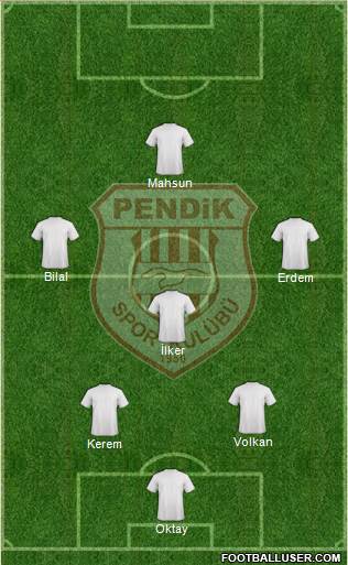 Pendikspor Formation 2014