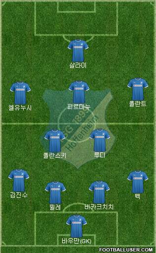 TSG 1899 Hoffenheim Formation 2014