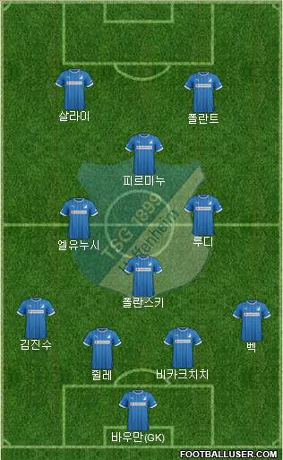 TSG 1899 Hoffenheim Formation 2014