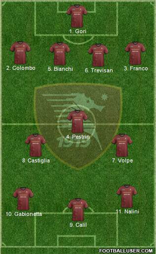 Salernitana Formation 2014