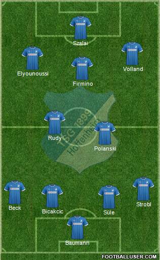 TSG 1899 Hoffenheim Formation 2014