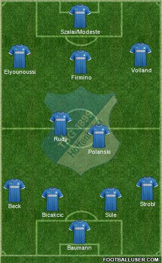 TSG 1899 Hoffenheim Formation 2014