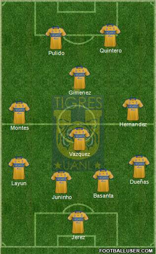 Club Universitario de Nuevo León Formation 2014