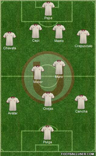 C Universitario D Formation 2014