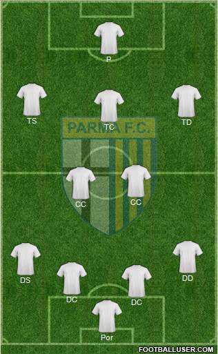 Parma Formation 2014