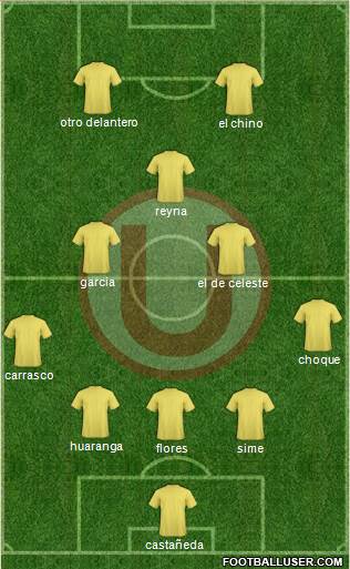 C Universitario D Formation 2014