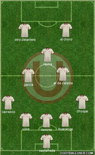 C Universitario D Formation 2014