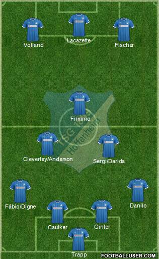 TSG 1899 Hoffenheim Formation 2014