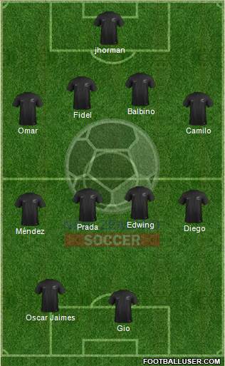 New Zealand Formation 2014