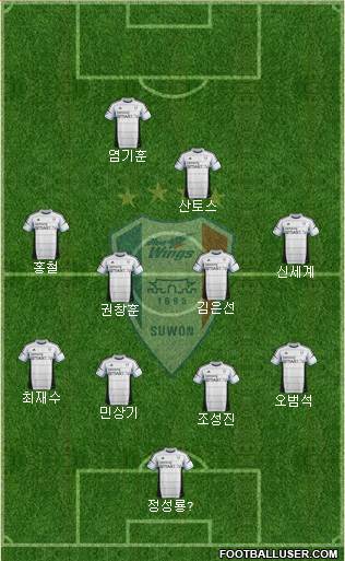 Suwon Samsung Blue Wings Formation 2014