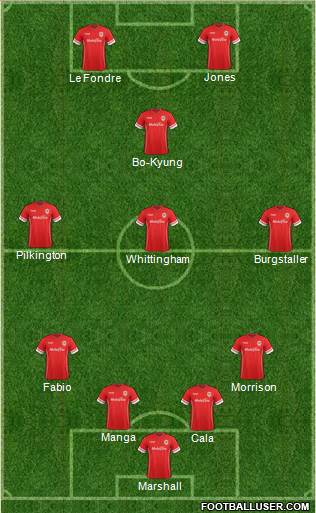 Cardiff City Formation 2014