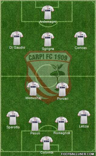 Carpi Formation 2014