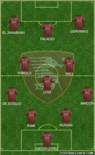 Salernitana Formation 2014