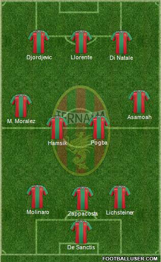 Ternana Formation 2014