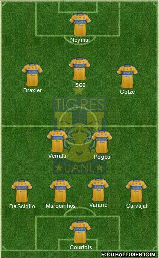 Club Universitario de Nuevo León Formation 2014