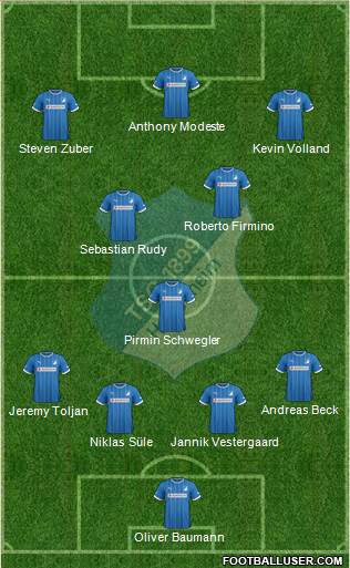 TSG 1899 Hoffenheim Formation 2014