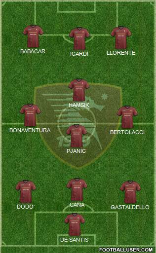 Salernitana Formation 2014