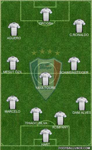 Suwon Samsung Blue Wings Formation 2014