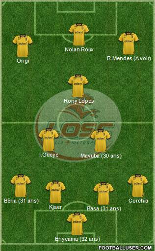 LOSC Lille Métropole Formation 2014