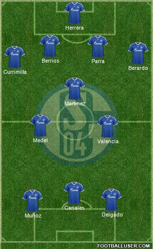 FC Schalke 04 Formation 2014