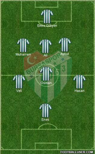 Bursaspor Formation 2014