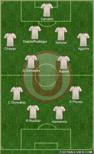 C Universitario D Formation 2014