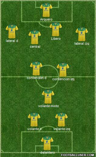 Norwich City Formation 2014