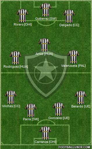 Botafogo FR Formation 2014