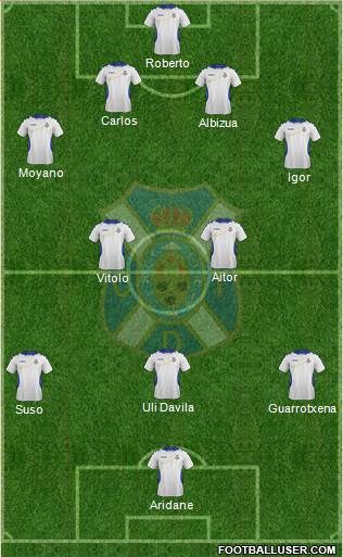 C.D. Tenerife S.A.D. Formation 2014