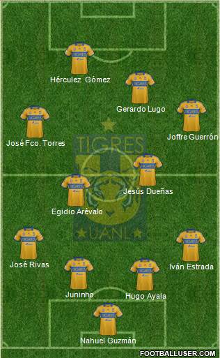 Club Universitario de Nuevo León Formation 2014