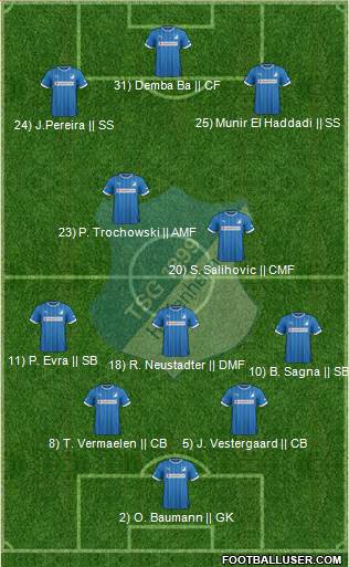 TSG 1899 Hoffenheim Formation 2014