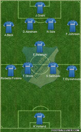 TSG 1899 Hoffenheim Formation 2014