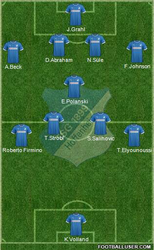 TSG 1899 Hoffenheim Formation 2014