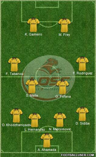 LOSC Lille Métropole Formation 2014