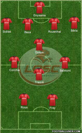 LOSC Lille Métropole Formation 2014