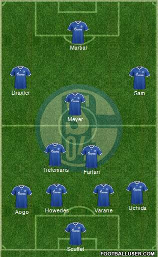 FC Schalke 04 Formation 2014