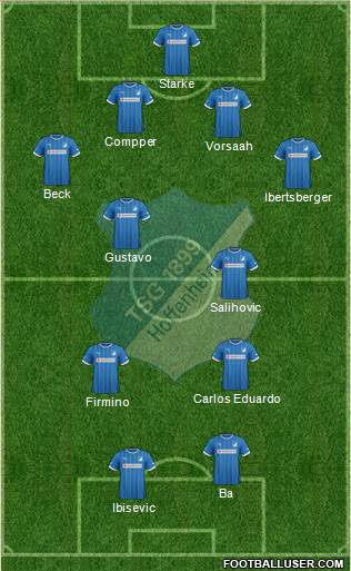 TSG 1899 Hoffenheim Formation 2014