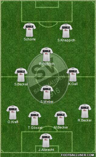 SV Sandhausen Formation 2014