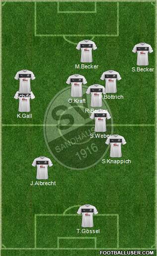 SV Sandhausen Formation 2014