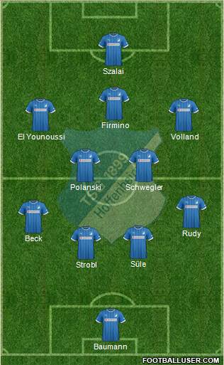 TSG 1899 Hoffenheim Formation 2014