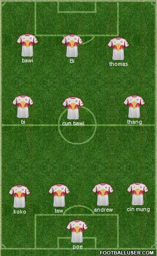 New York Red Bulls Formation 2014