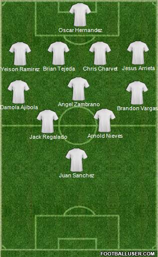 New York Red Bulls Formation 2014