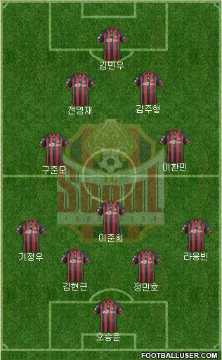 FC Seoul Formation 2014