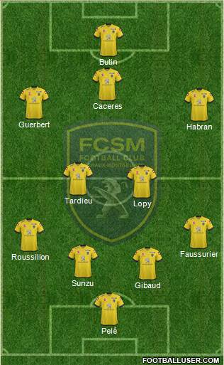 FC Sochaux-Montbéliard Formation 2014