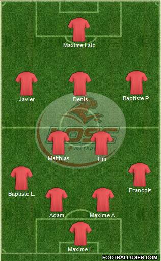 LOSC Lille Métropole Formation 2014