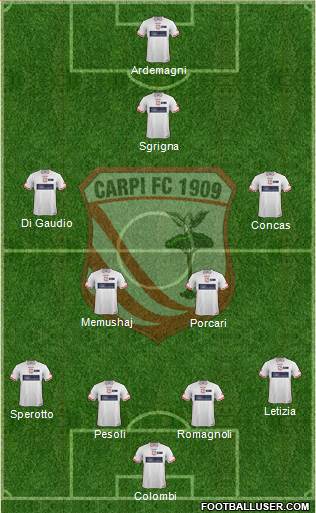 Carpi Formation 2014